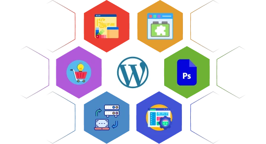 wordpress website design and development